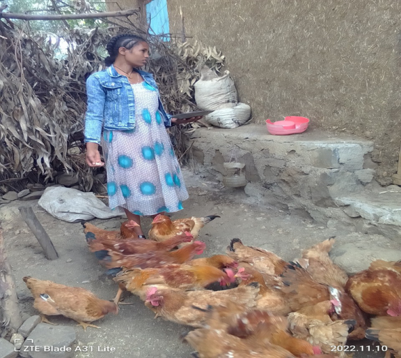 Peace, Food Security and Livelihood Promotion