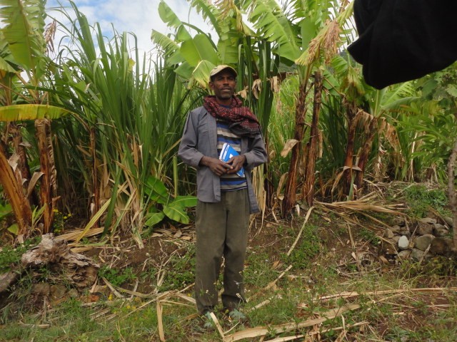 Peace, Food Security and Livelihood Promotion field photo 16