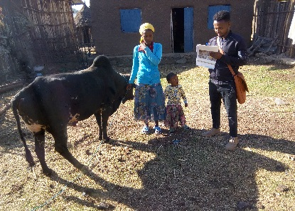 Peace, Food Security and Livelihood Promotion field photo 2