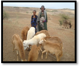 Peace, Food Security and Livelihood Promotion field photo 25