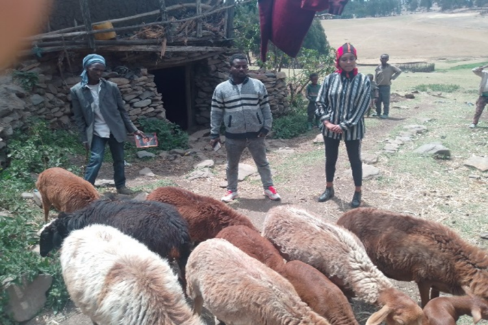 PADet programme activity
