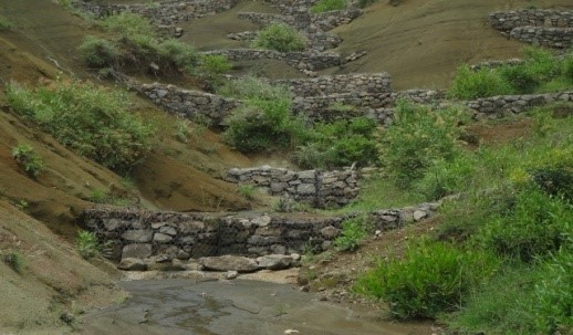 Peace, Food Security and Livelihood Promotion field photo 5