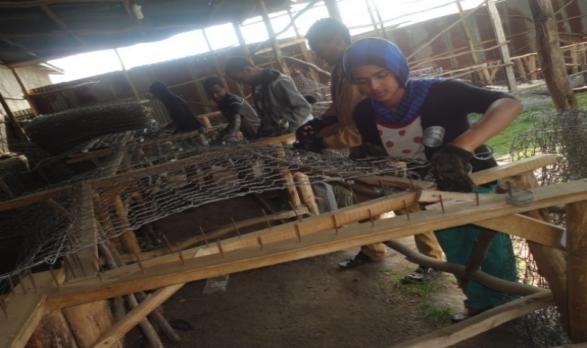 Peace, Food Security and Livelihood Promotion field photo 6