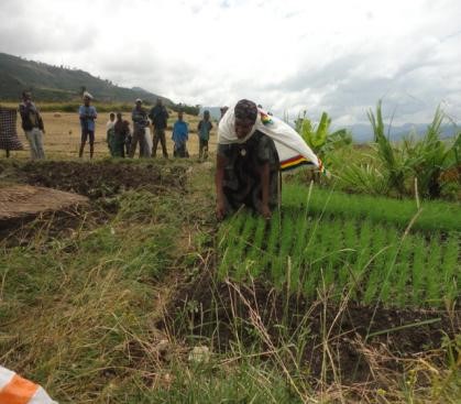 Peace, Food Security and Livelihood Promotion field photo 9